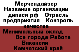 Мерчендайзер › Название организации ­ диписи.рф › Отрасль предприятия ­ Контроль качества › Минимальный оклад ­ 20 000 - Все города Работа » Вакансии   . Камчатский край,Петропавловск-Камчатский г.